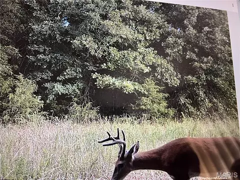 Other - 2480 County Road 317, Other, MO 65773 photo 20 of 29