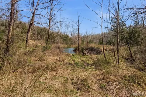 View/Area - 2480 County Road 317, Other, MO 65773 photo 16 of 18