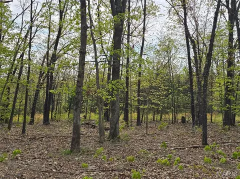 Tract Q Galaxy Lane, Lebanon, MO 65536