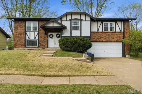 6268 Lake Paddock Dr, Florissant, MO 63033