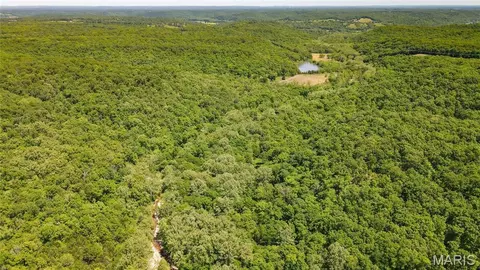 Other - 12980 Canyon Rd, Dixon, MO 65459 photo 10 of 68