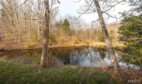 View/Area - 12980 Canyon Rd, Dixon, MO 65459 photo 7 of 11