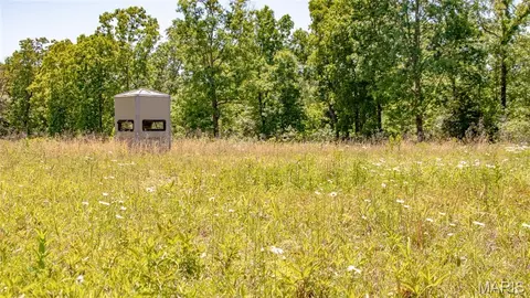 Other - 12980 Canyon Rd, Dixon, MO 65459 photo 32 of 68