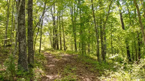 Other - 12980 Canyon Rd, Dixon, MO 65459 photo 39 of 68