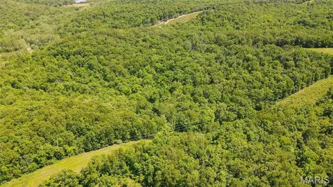 Other - 12980 Canyon Rd, Dixon, MO 65459 photo 4 of 68