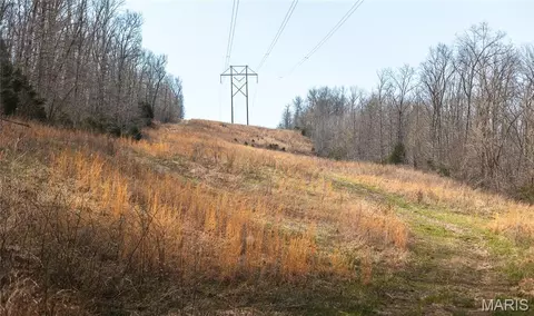 Other - 12980 Canyon Rd, Dixon, MO 65459 photo 43 of 67