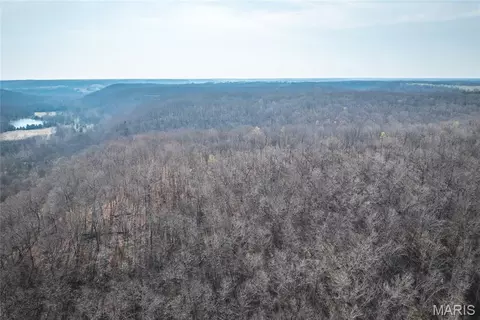 View/Area - 12980 Canyon Rd, Dixon, MO 65459 photo 5 of 11