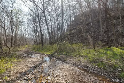 Other - 12980 Canyon Rd, Dixon, MO 65459 photo 33 of 67