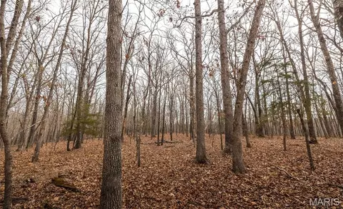 Other - 12980 Canyon Rd, Dixon, MO 65459 photo 49 of 67