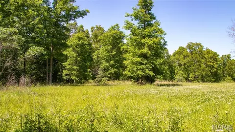 Other - 12980 Canyon Rd, Dixon, MO 65459 photo 46 of 68