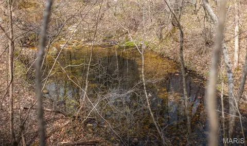 View/Area - 12980 Canyon Rd, Dixon, MO 65459 photo 10 of 11