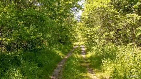 Other - 12980 Canyon Rd, Dixon, MO 65459 photo 33 of 68