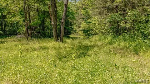 Other - 12980 Canyon Rd, Dixon, MO 65459 photo 23 of 68
