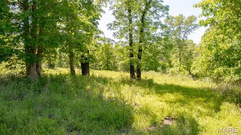 Exterior - 12980 Canyon Rd, Dixon, MO 65459 photo 3 of 10