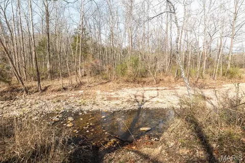 Other - 12980 Canyon Rd, Dixon, MO 65459 photo 30 of 67