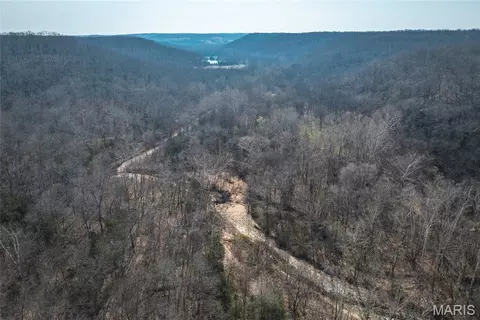 View/Area - 12980 Canyon Rd, Dixon, MO 65459 photo 3 of 11