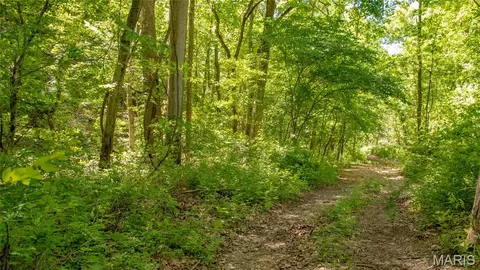 Other - 12980 Canyon Rd, Dixon, MO 65459 photo 27 of 68