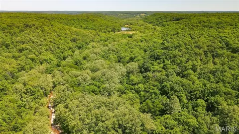 Other - 12980 Canyon Rd, Dixon, MO 65459 photo 9 of 68