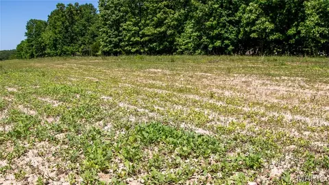 Other - 12980 Canyon Rd, Dixon, MO 65459 photo 31 of 68
