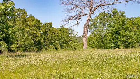 Exterior - 12980 Canyon Rd, Dixon, MO 65459 photo 5 of 10