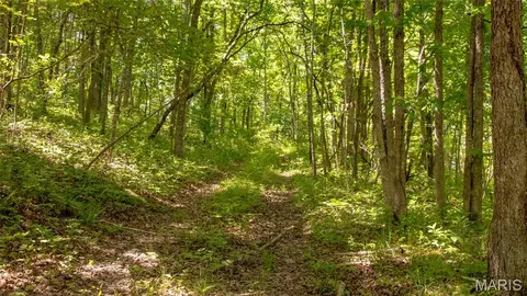 Other - 12980 Canyon Rd, Dixon, MO 65459 photo 36 of 68