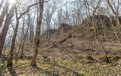 Other - 12980 Canyon Rd, Dixon, MO 65459 photo 35 of 67