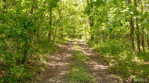 Other - 12980 Canyon Rd, Dixon, MO 65459 photo 24 of 68