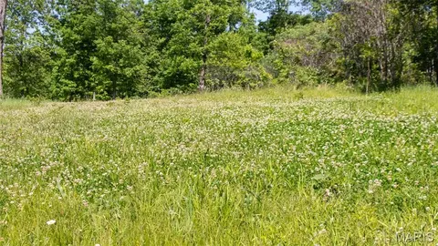 Other - 12980 Canyon Rd, Dixon, MO 65459 photo 45 of 68