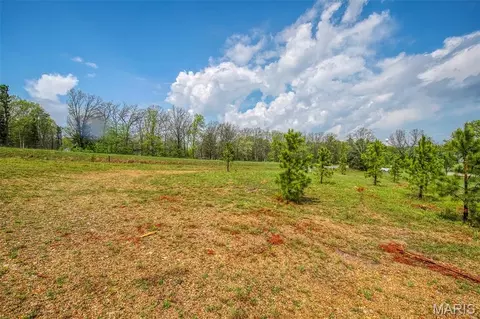 1000 Walnut St, Licking, MO 65542 photo 9