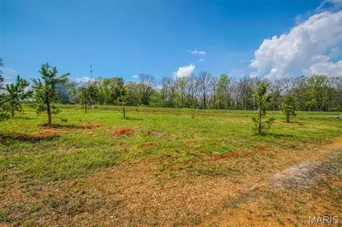1000 Walnut St, Licking, MO 65542 photo 11