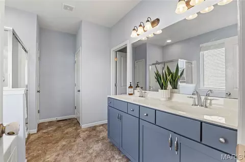 Entry Way - 821 Upland Loop, O'fallon, MO 63368 photo 3 of 3