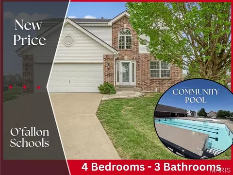 866 Saybrook Falls Dr, Fairview Heights, IL 62208