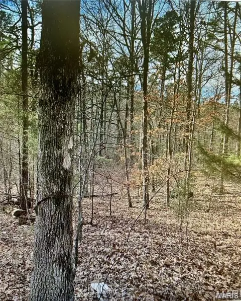 10365 Prices Trl, Potosi, MO 63664