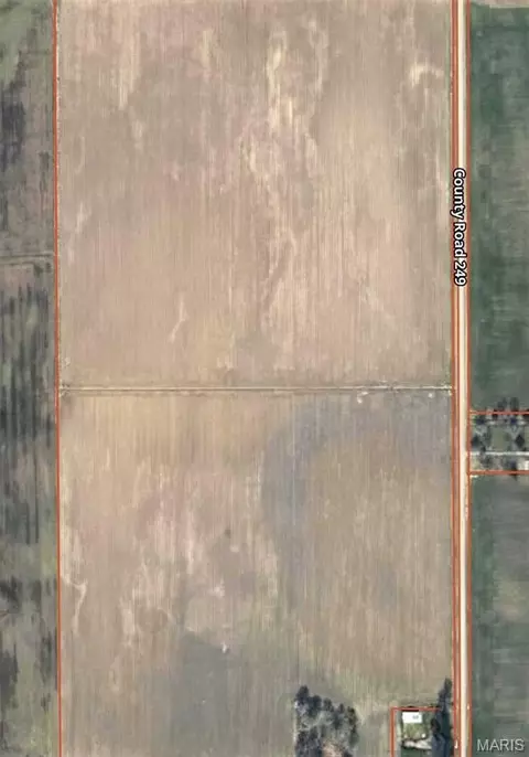 0 County Road 258, Hayti, MO 63851