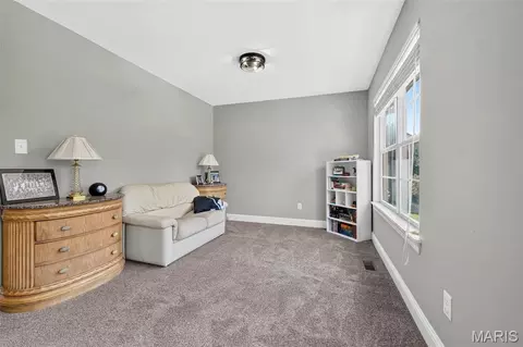 Other - 122 Fox Haven Dr, O'fallon, MO 63368 photo 23 of 44