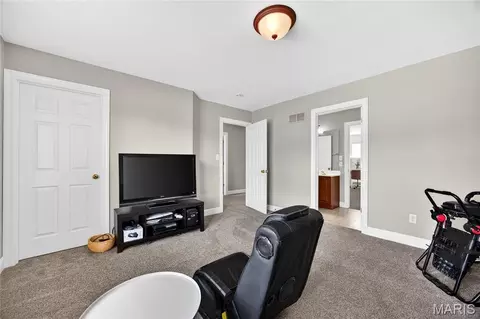 Other - 122 Fox Haven Dr, O'fallon, MO 63368 photo 11 of 15