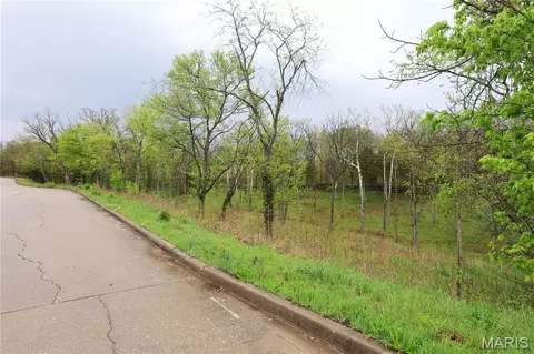 lot121314 Dorothy Dr, Perryville, MO 63775