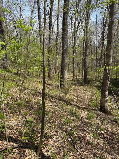 000 Metcalf Rd, Iuka, IL 62849