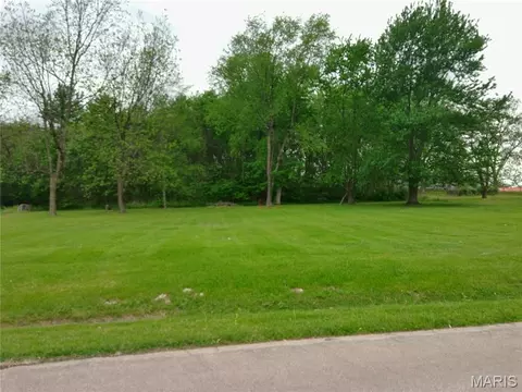 O Hidden Meadows Lane, Dexter, MO 63841 photo 3