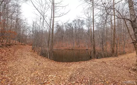 Other - 1020 County Road 532, Jackson, MO 63755 photo 27 of 27