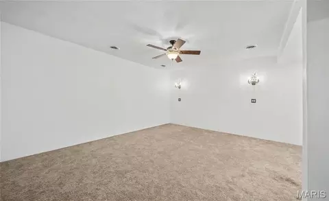 Other - 1020 County Road 532, Jackson, MO 63755 photo 8 of 27