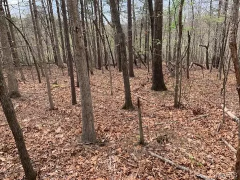 0 County Rd 229, Fredericktown, MO 63645 photo 6