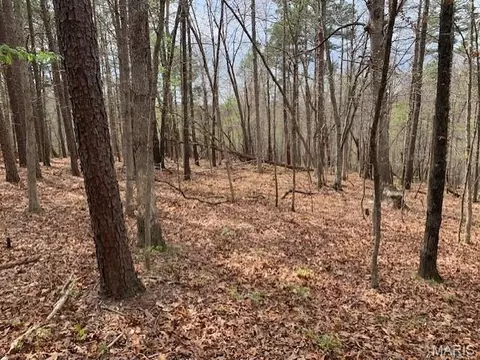 0 County Rd 229, Fredericktown, MO 63645 photo 5
