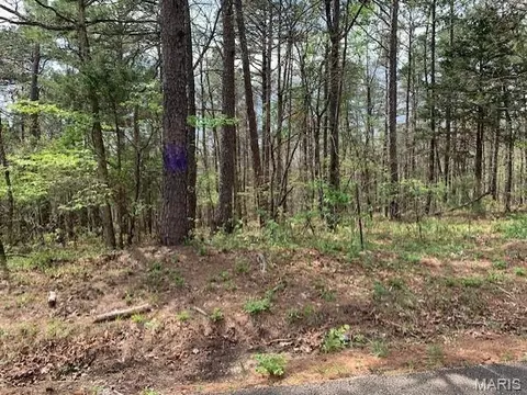 0 County Rd 229, Fredericktown, MO 63645 photo 8