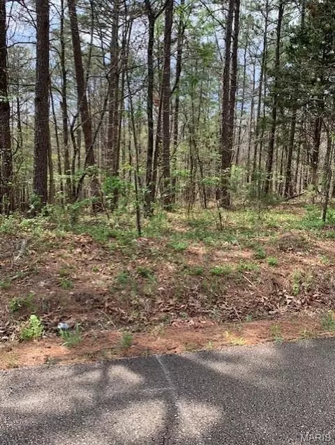 0 County Rd 229, Fredericktown, MO 63645 photo 9