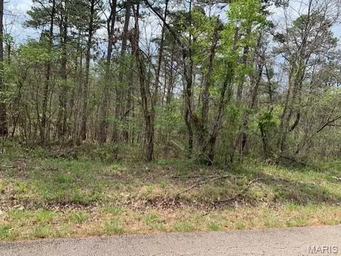 0 County Rd 229, Fredericktown, MO 63645 photo 3