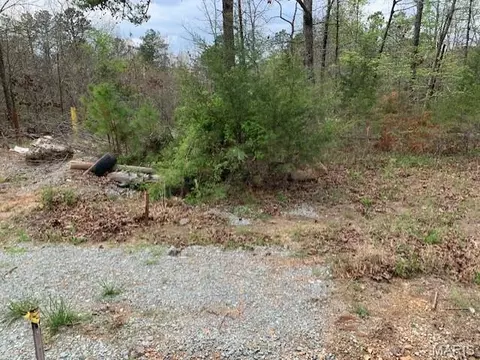 0 County Rd 229, Fredericktown, MO 63645 photo 2