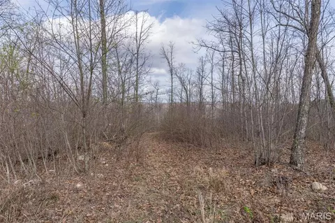 0 Highway N, Middlebrook, MO 63656 photo 11