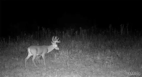 0 Highway N, Middlebrook, MO 63656 photo 19