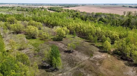 0 County Road 513, Senath, MO 63876 photo 50